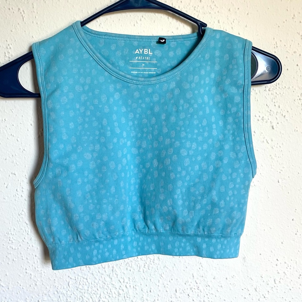 AYBL Seamless Crop Top